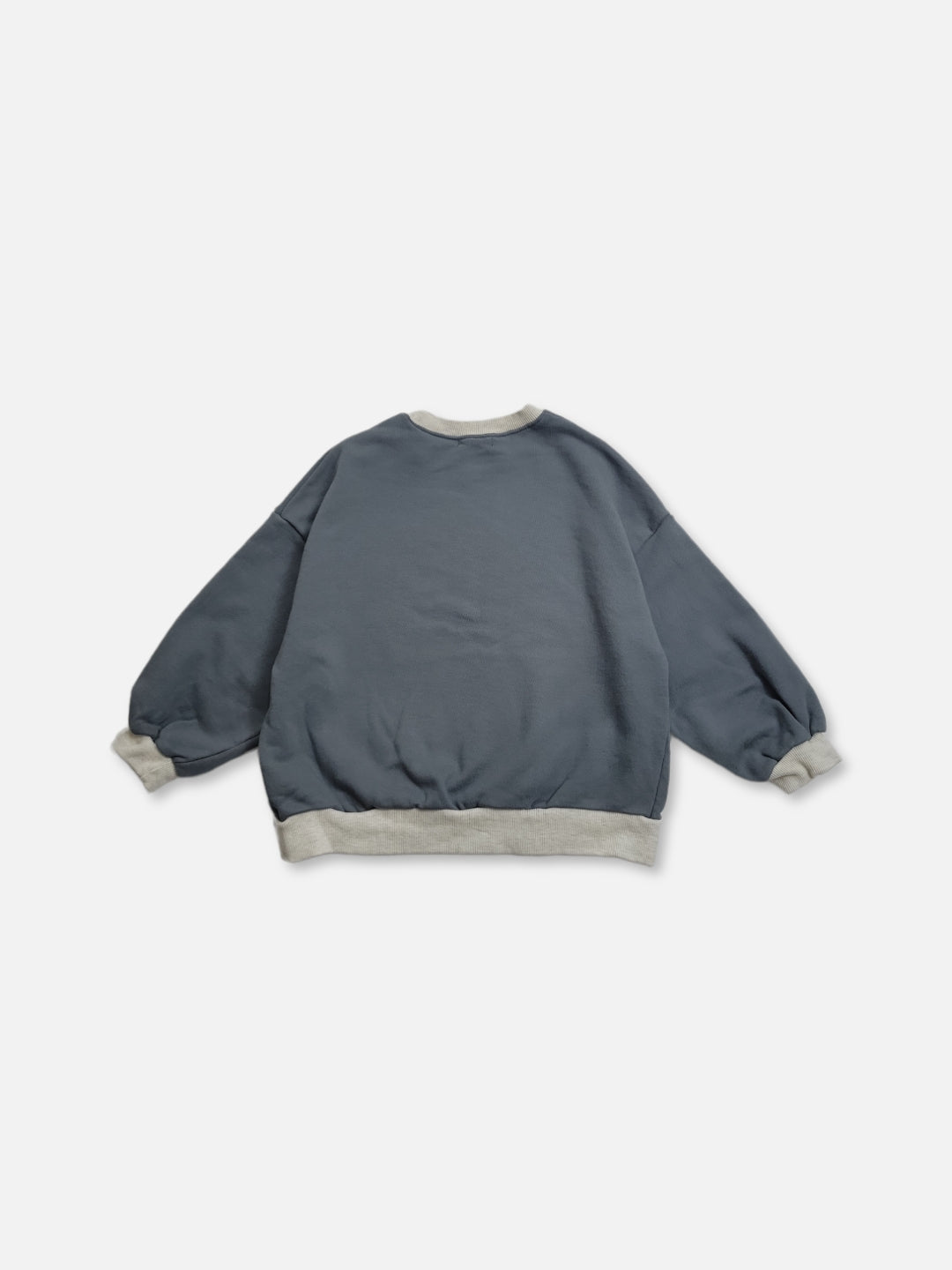 Eden sweatshirt | blue gray